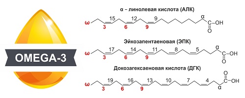 Жирные кислоты картинки